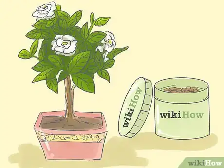 Imagen titulada Raise Gardenias in Pots Step 16