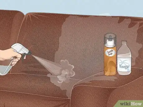 Imagen titulada Clean Smoke Damage Step 23