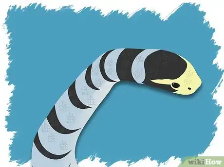 Imagen titulada Identify a Venomous Snake Step 15