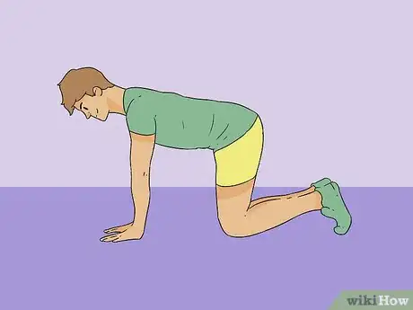Imagen titulada Perform the Plank Exercise Step 8