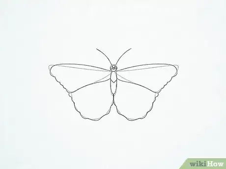 Imagen titulada Draw a Butterfly Step 21