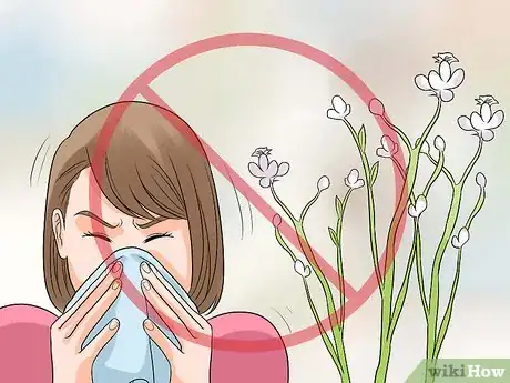 Imagen titulada Treat Bronchitis Naturally Step 6