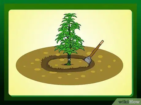 Imagen titulada Replant a Tree Step 6