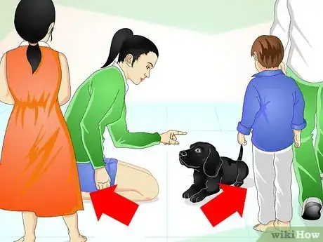 Imagen titulada Train Labrador Retrievers Step 17