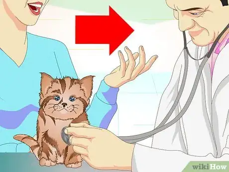 Imagen titulada Get a Sick Kitten to Eat Step 18