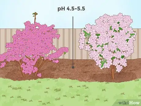 Imagen titulada Lower Soil pH Step 12