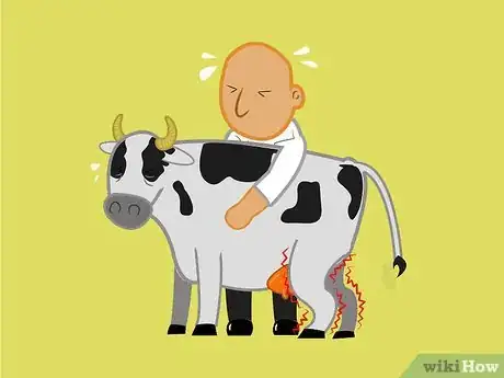 Imagen titulada Get a Cow With Nerve Damage to Her Hind Legs from a Long Birth or Hard Pull to Stand Up Step 4