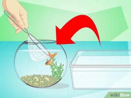 Imagen titulada Change the Water in a Fish Bowl Step 13