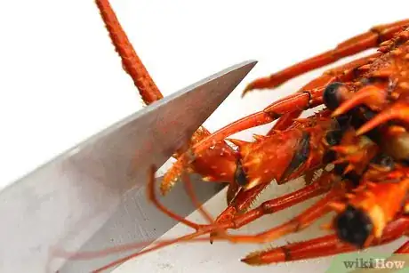 Imagen titulada Boil Lobsters Step 10