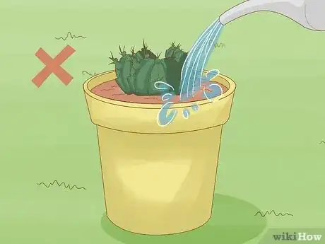 Imagen titulada Grow a Cactus Step 10