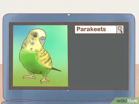 Imagen titulada Take Care of a Parakeet Step 2