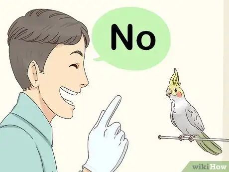 Imagen titulada Stop Your Cockatiel from Biting Step 5