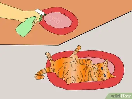 Imagen titulada Make Catnip Spray Step 8