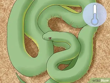 Imagen titulada Play With a Pet Snake Step 10