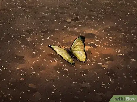 Imagen titulada Create a Butterfly Garden Step 13