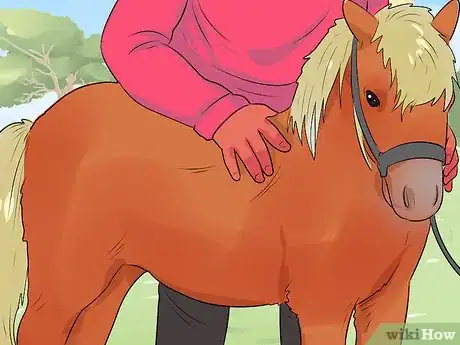 Imagen titulada Care for a Miniature Horse Step 11