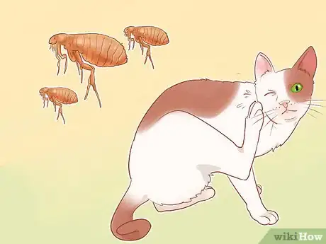 Imagen titulada Know if Your Cat Is Sick Step 16