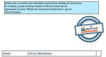 iniciar actividades en Sii via internet