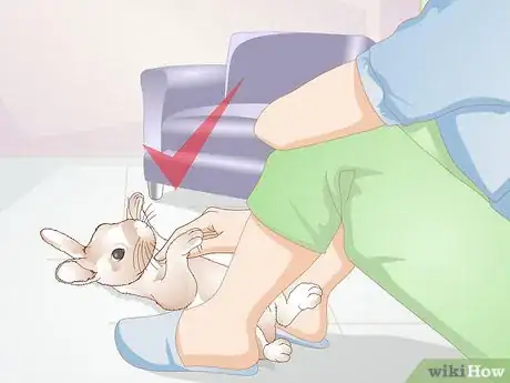 Imagen titulada Teach a Rabbit Not to Chew Furniture Step 10