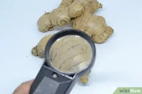 Imagen titulada Prepare Ginger Root For Cooking Step 2