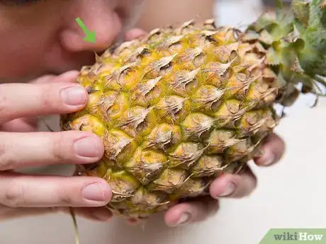 Imagen titulada Buy and Store Fresh Pineapple Step 5