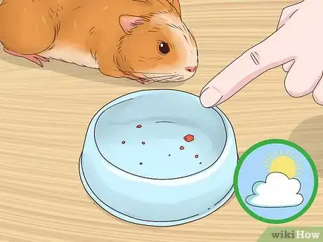 Imagen titulada Tame Your Guinea Pig Step 5