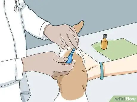 Imagen titulada Prevent Flea Bites Step 20