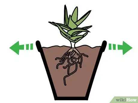 Imagen titulada Care for Succulents Step 1