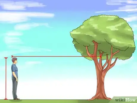 Imagen titulada Measure the Height of a Tree Step 27