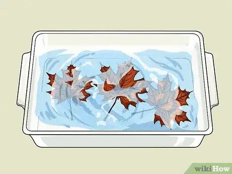 Imagen titulada Dry Leaves Step 20