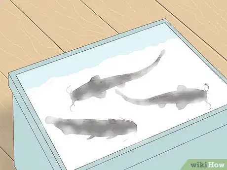 Imagen titulada Catch a Pond Catfish Step 14