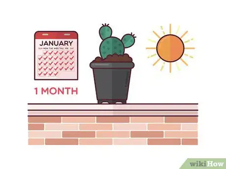 Imagen titulada Grow Cactus Indoors Step 7