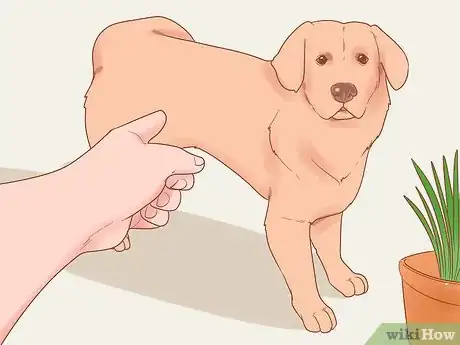 Imagen titulada Stop Your Dog from Eating Grass Step 11