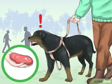 Imagen titulada Train a Rottweiler to Be a Guard Dog Step 15