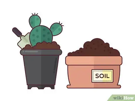 Imagen titulada Grow Cactus Indoors Step 5