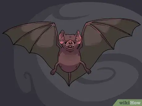 Imagen titulada Draw a Bat Step 18