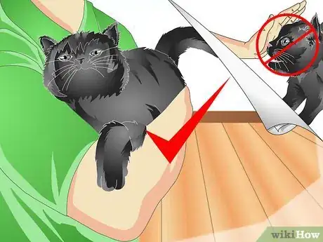 Imagen titulada Teach Your Cat to Talk Step 8