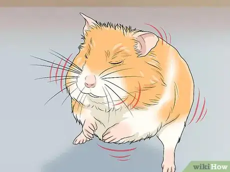 Imagen titulada Spot Illness in Hamsters Step 9