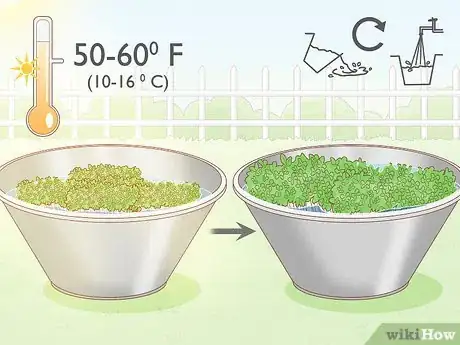 Imagen titulada Grow Watercress in a Pond Step 15