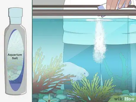 Imagen titulada Clean a Fish Tank Step 8