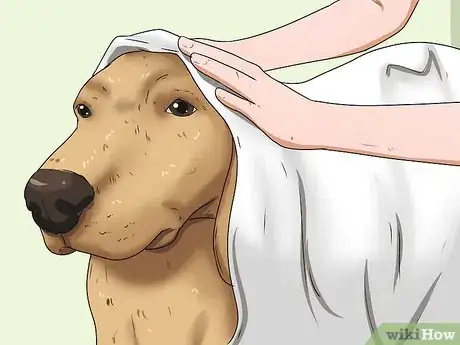 Imagen titulada Give Your Large Dog a Bath Step 20