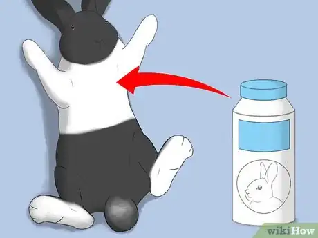 Imagen titulada Bathe Your Pet Rabbit Step 12