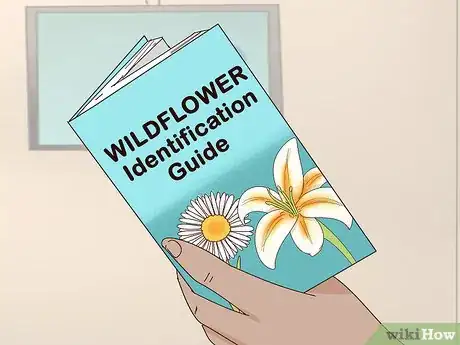 Imagen titulada Identify Wildflowers Step 5