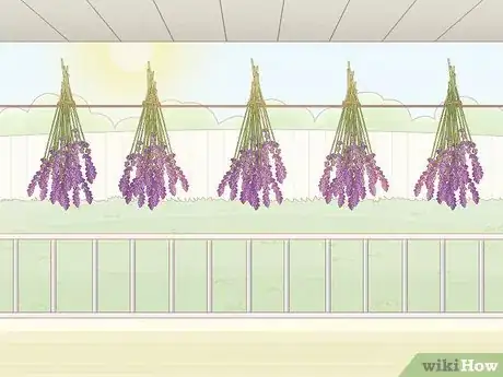 Imagen titulada Harvest Lavender Step 8