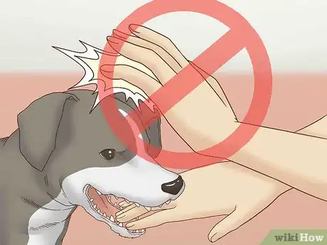 Imagen titulada Get Your Dog to Stop Play Biting Step 6