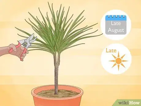 Imagen titulada Prune Dracaena Step 2