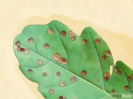 Imagen titulada Get Rid of Aphids Step 3