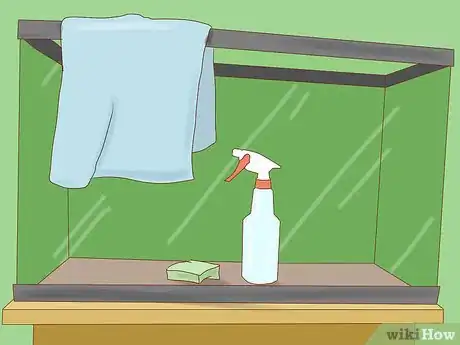 Imagen titulada Get Rid of Snails in Aquarium Step 6