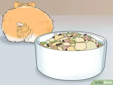 Imagen titulada Spot Illness in Hamsters Step 3