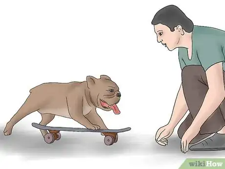 Imagen titulada Teach a Bulldog to Skateboard Step 2